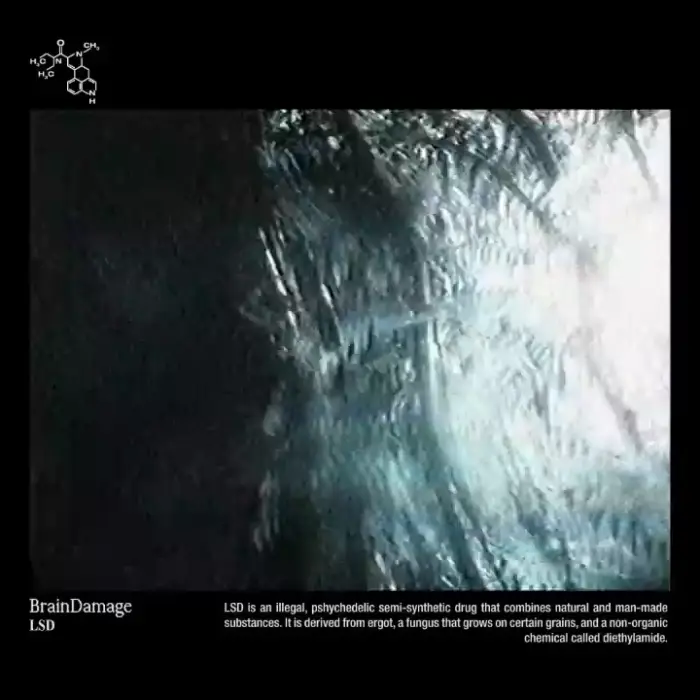 LSD — work from the BrainDamage series by Zephaniah Black