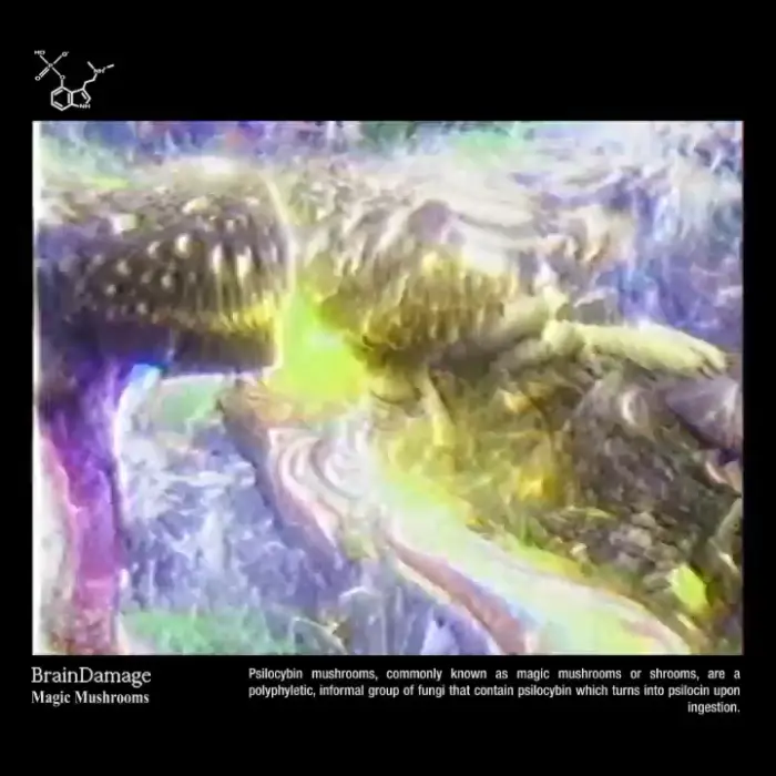 Magic Mushrooms — work from the BrainDamage series by Zephaniah Black