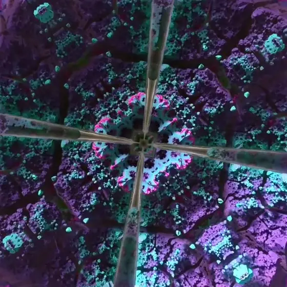 LSD — fractal video work by Zephaniah Black