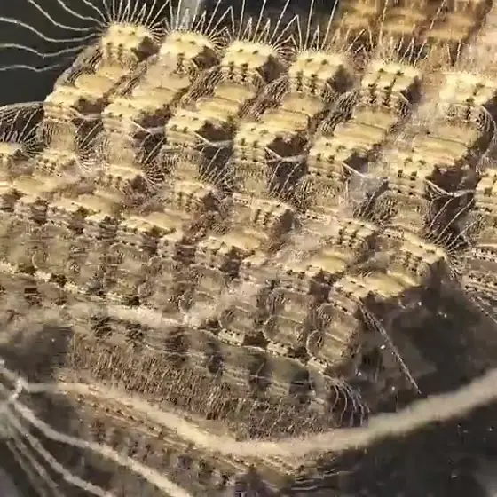 Repetition — fractal video work by Zephaniah Black